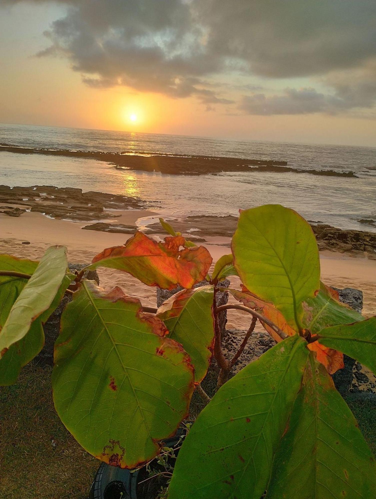 Pousada Tropicalia Tranquilidade A Beira Mar Santa Cruz Cabrália Extérieur photo